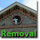 Bird Removal